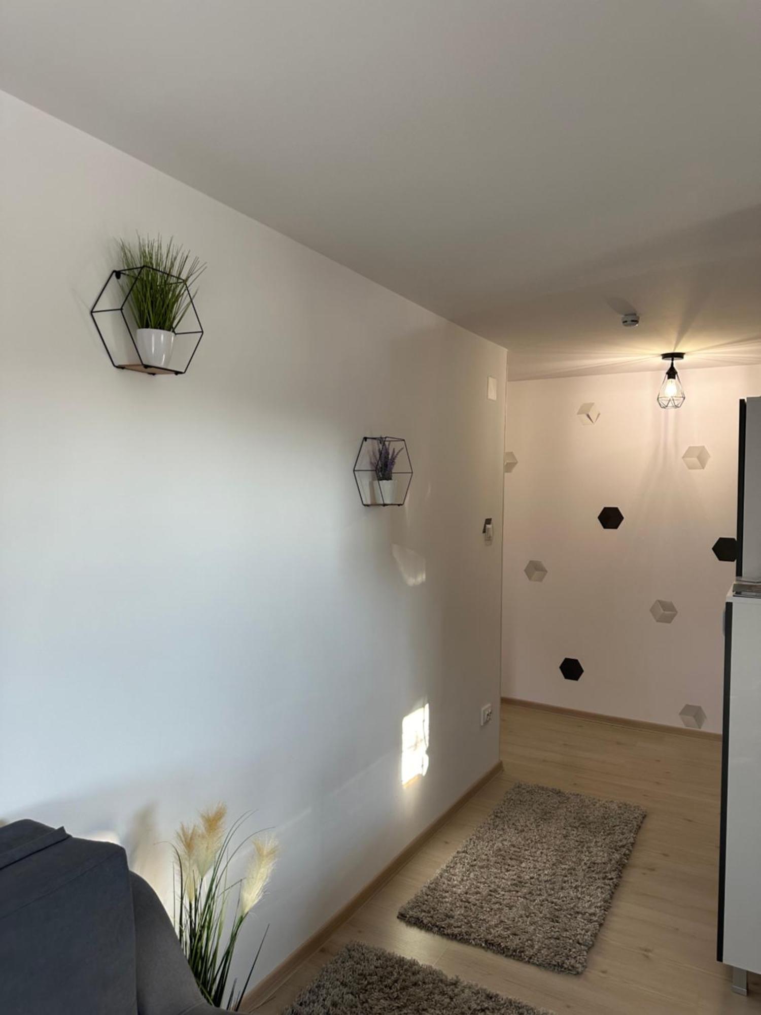 Jokai Apartments Nr7, Code Entry Sfantu Gheorghe  Exterior photo